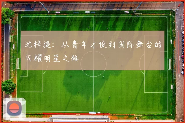 沈梓捷：从青年才俊到国际舞台的闪耀明星之路