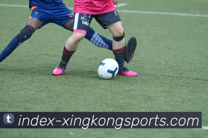 xingkong平台生态图