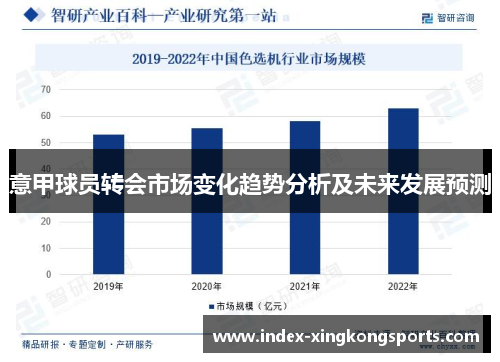 意甲球员转会市场变化趋势分析及未来发展预测
