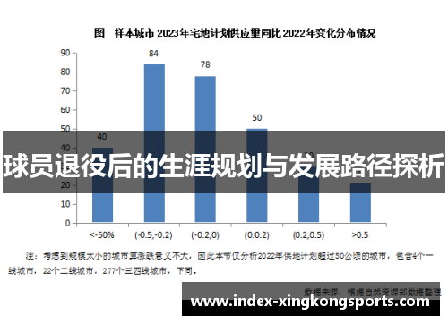 球员退役后的生涯规划与发展路径探析