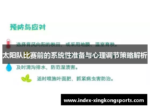 太阳队比赛前的系统性准备与心理调节策略解析