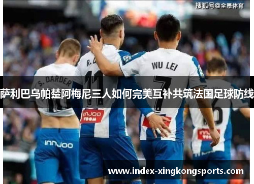 萨利巴乌帕楚阿梅尼三人如何完美互补共筑法国足球防线
