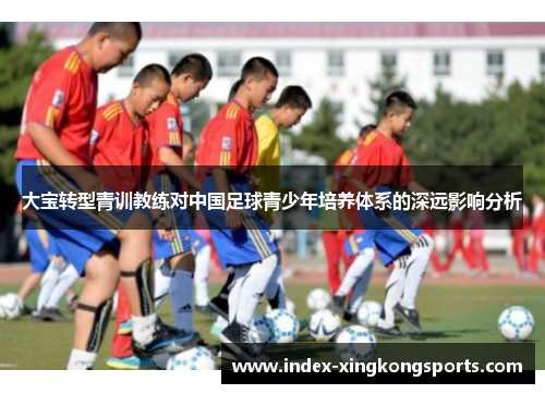 大宝转型青训教练对中国足球青少年培养体系的深远影响分析