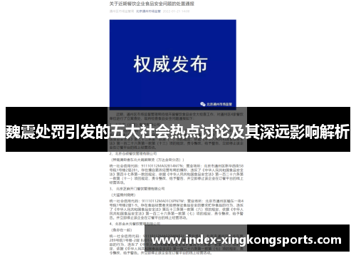 魏震处罚引发的五大社会热点讨论及其深远影响解析