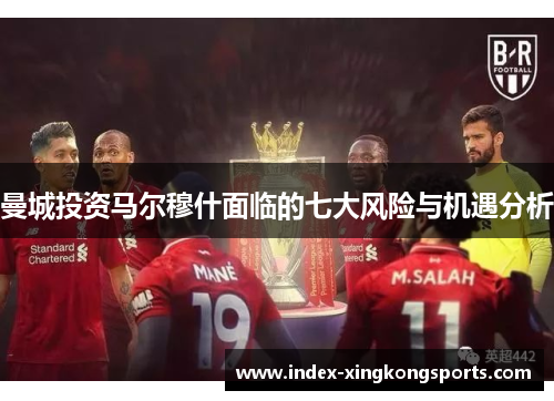 曼城投资马尔穆什面临的七大风险与机遇分析
