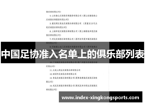 中国足协准入名单上的俱乐部列表