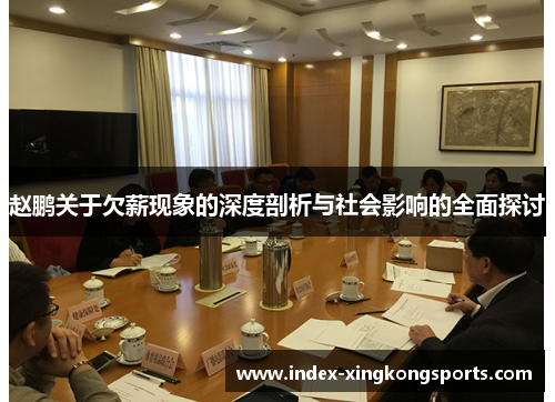 赵鹏关于欠薪现象的深度剖析与社会影响的全面探讨