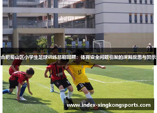 合肥蜀山区小学生足球训练悲剧回顾：体育安全问题引发的深刻反思与警示