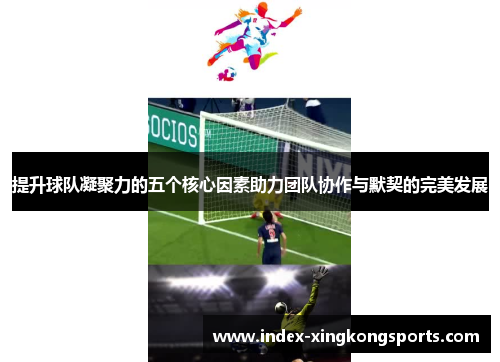 提升球队凝聚力的五个核心因素助力团队协作与默契的完美发展
