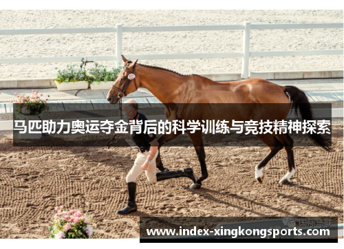 马匹助力奥运夺金背后的科学训练与竞技精神探索