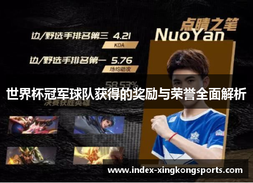 世界杯冠军球队获得的奖励与荣誉全面解析