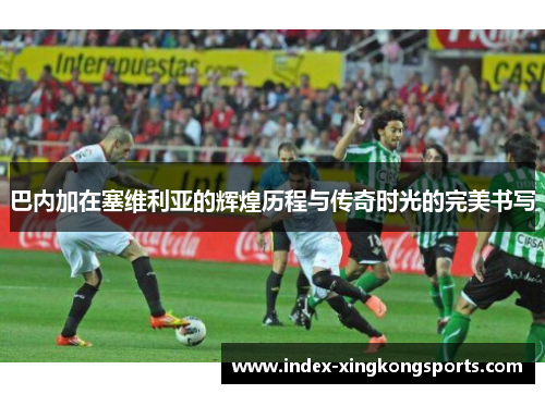 巴内加在塞维利亚的辉煌历程与传奇时光的完美书写